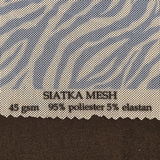 Siatka Mesh