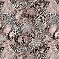 ND 14286A